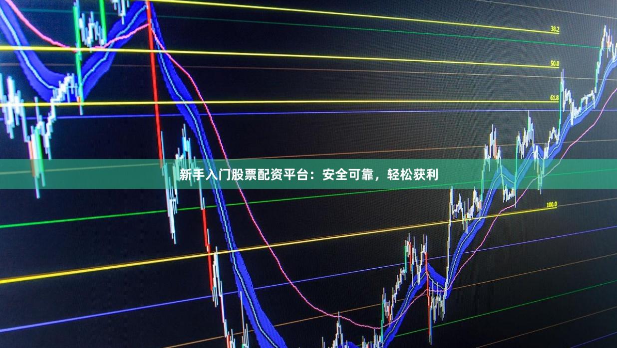 新手入门股票配资平台：安全可靠，轻松获利