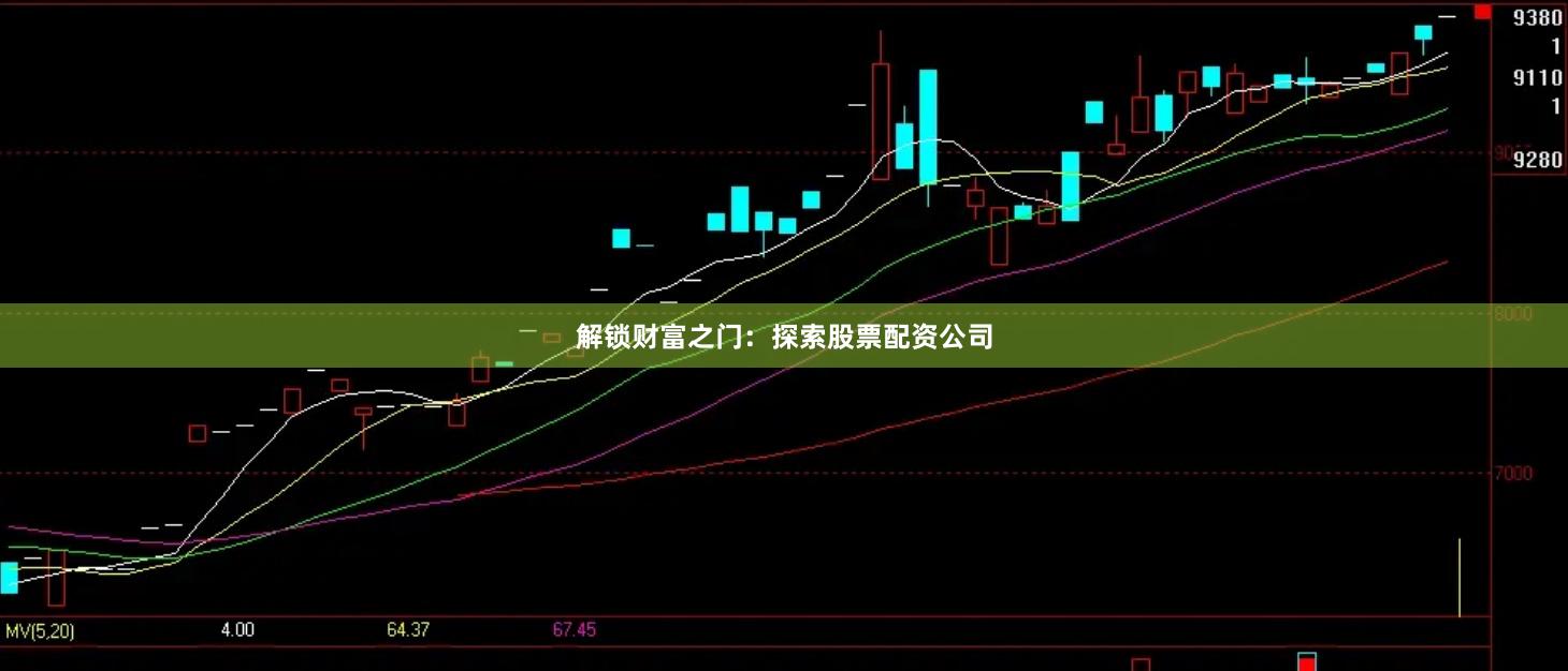 解锁财富之门：探索股票配资公司
